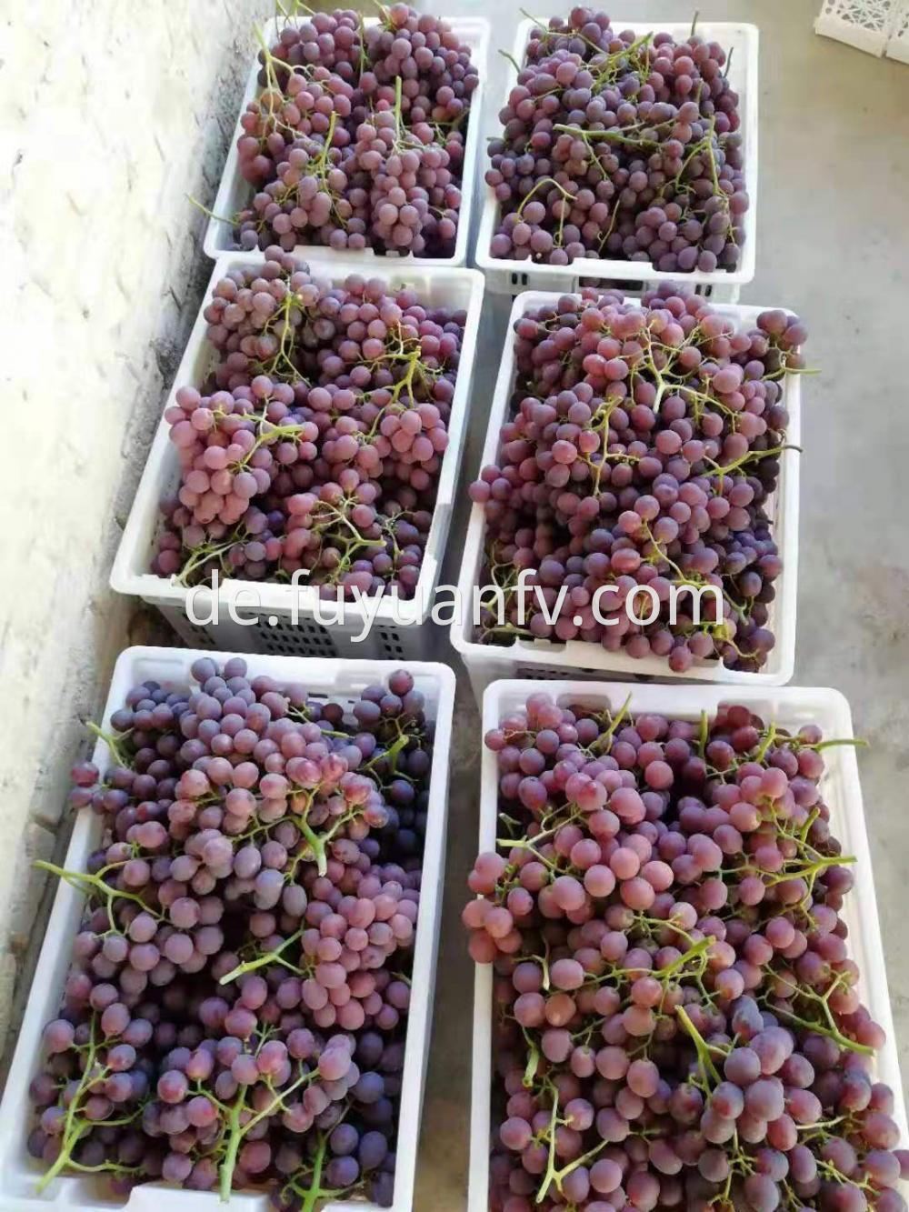 Xinjiang Red Grapes